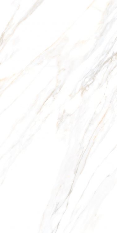 Aurum Calacatta Polished 24 x 48
